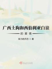 西伯利亚狼和二哈