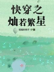 灿若繁星车肉