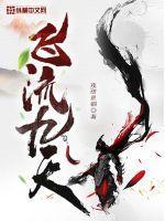 飞流后续