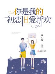 你是我的初恋吗