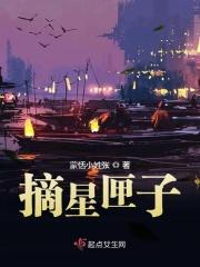 摘星阁是干嘛的