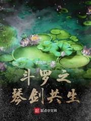 斗罗大陆之琴剑共主