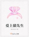 电视剧爱上喵星人