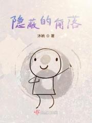 隐蔽的角落原著