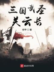 武圣关云长电视剧