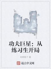 功夫巨星演员