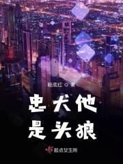忠犬男什么意思