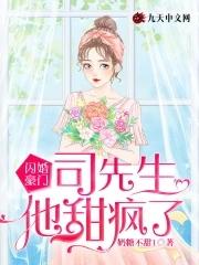 闪婚情深司少的心尖宠