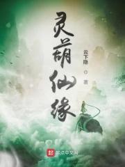灵壶仙缘全集