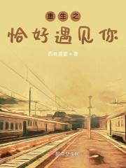 恰好遇见你风重曦