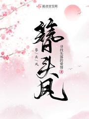 簪头凤txt链接