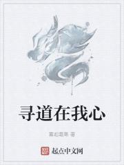 寻道诗句