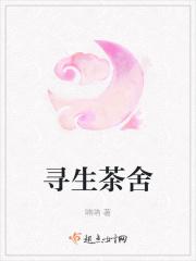 暔寻茶室