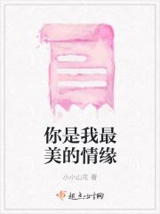 你是我最美情缘歌曲