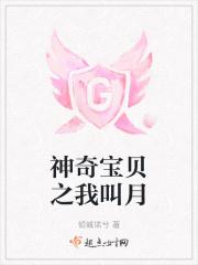神奇宝贝之我叫月神