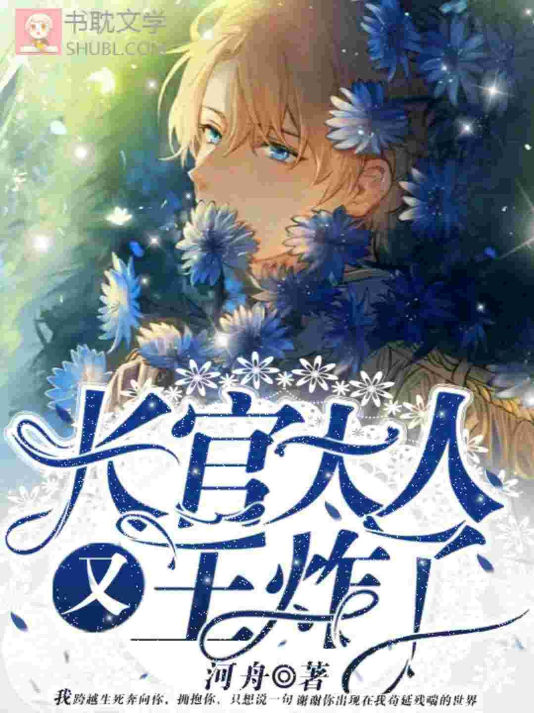 长官大人又王炸了178章