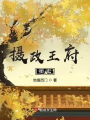 公主身子丫鬟命