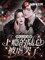 陆总的全集