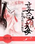 妾宠29