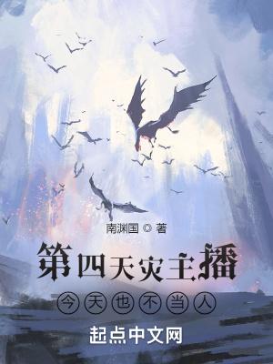 第四天灾玩家流全