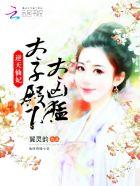 逆天太子妃天才灵药师