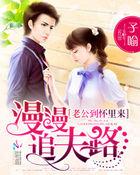 漫漫追妻路电视