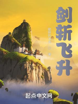 剑斩乾坤飞仙20级是什么意思