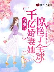 离婚后娇妻她成了大佬