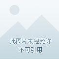 相公多多免费阅读