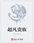 超凡贵族超凡贵族