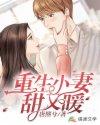 重生小甜妻电视剧观看