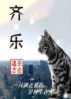齐乐镇人民政府领导班子