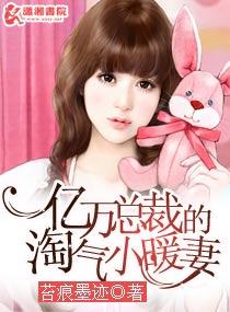 亿万总裁的小萌妻