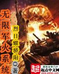 无限军火系统2全文免费阅读