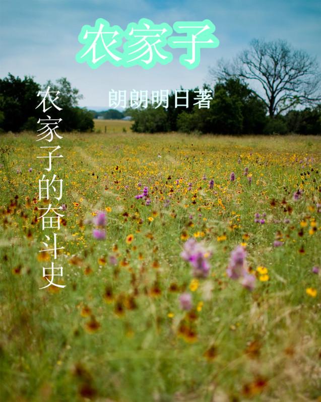 农家子的科举路 仪过