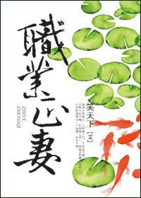 职业look