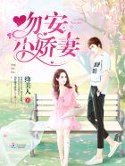 吻安小蜜妻txt
