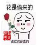 妖女的生存法则