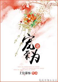 宠妻为上全文