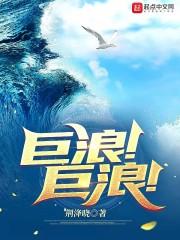 浪潮来袭是什么意思
