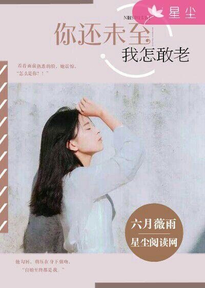 我怎敢老去是什么意思