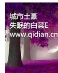 城市富豪游戏有几个版本