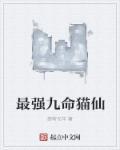 九命猫攻略