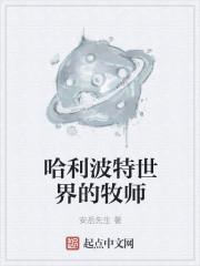 哈利波特世界有什么职业
