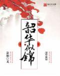 韶华锦瑟是什么意思
