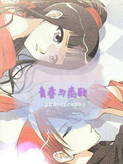 青春与爱情 歌词