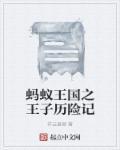 蚂蚁国国王