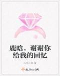 谢谢你给我这个暖心的回忆是什么歌
