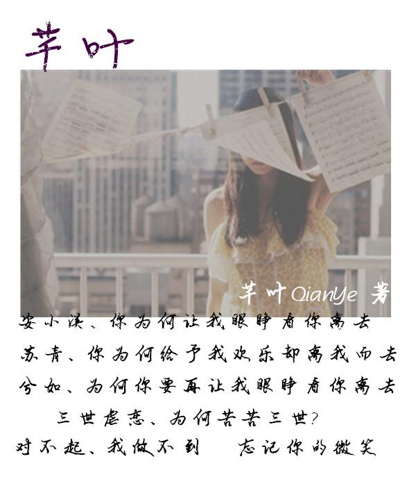 芊叶草图片
