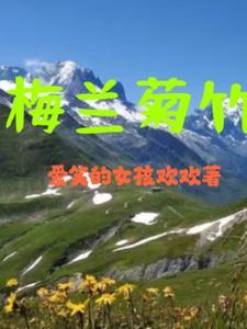 梅兰菊竹称为什么